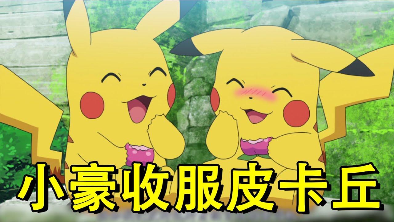 神奇宝贝新无印35集速看：小豪收服雌性皮卡丘，雌性皮卡丘为了救皮神进化成雷丘！