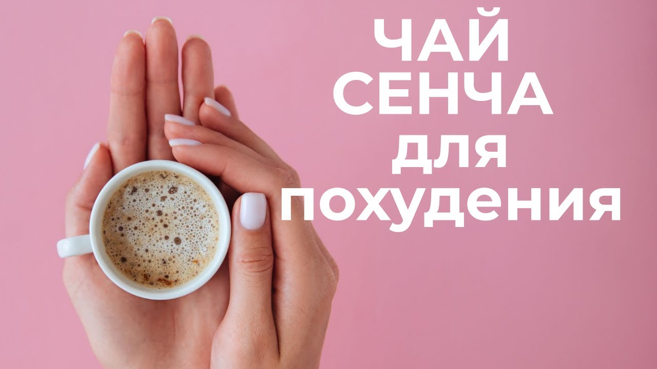 Чай сенча – описание, польза и вред, как заваривать