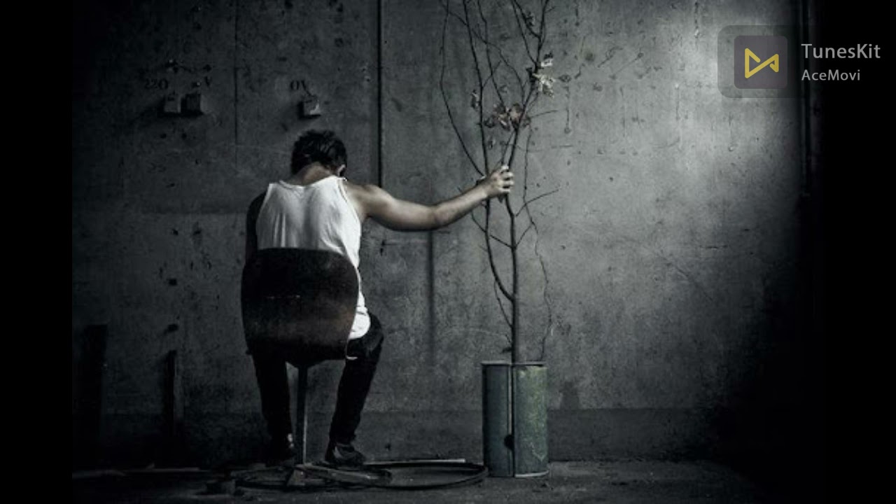 اغاني عراقيه حزينه | يادنيا كافي وياي مابعد اصالحه ربعي واعز الناس طلعو مصالح