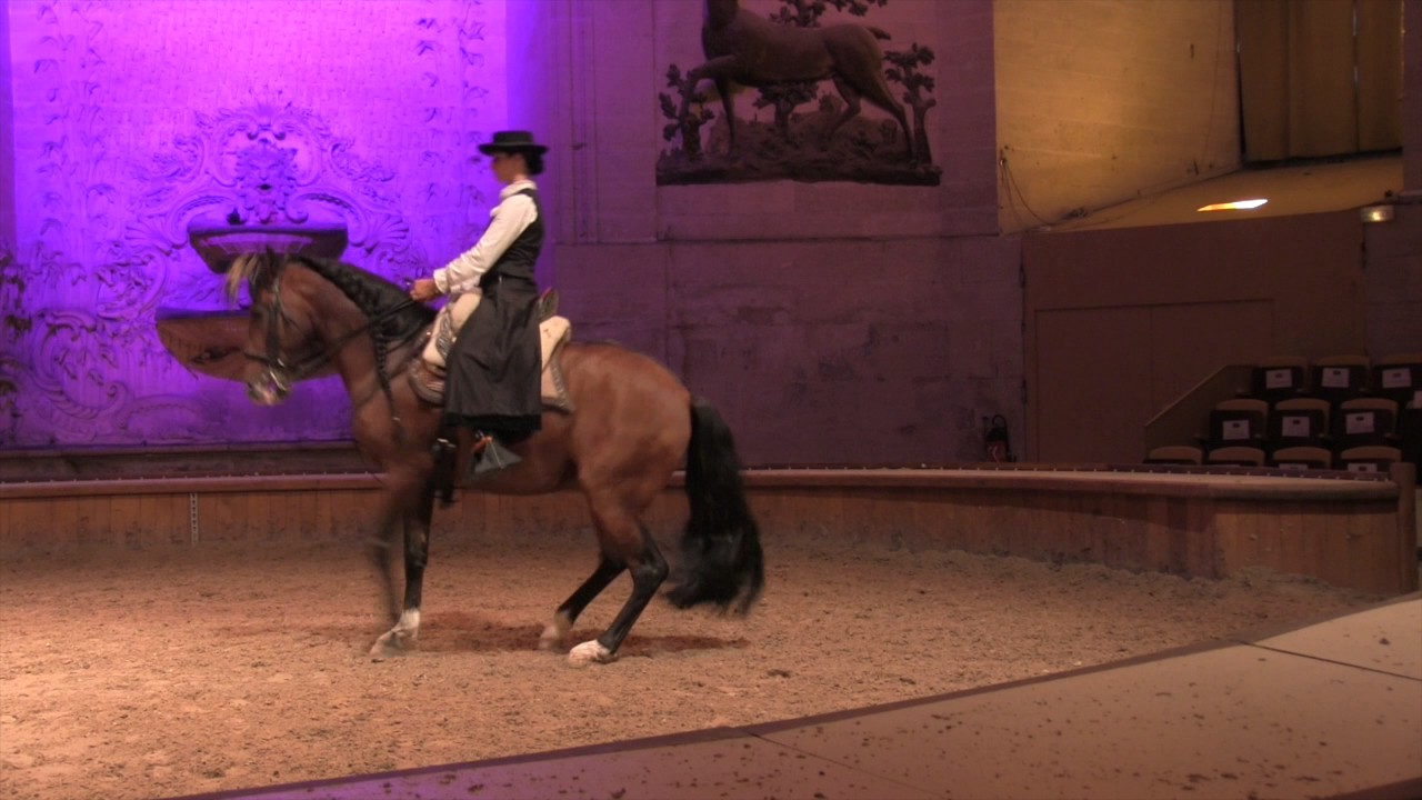 galop arri&egrave;re