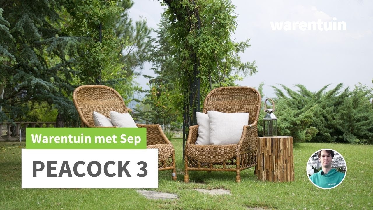 Alles over Peacock garden support - Deel 3