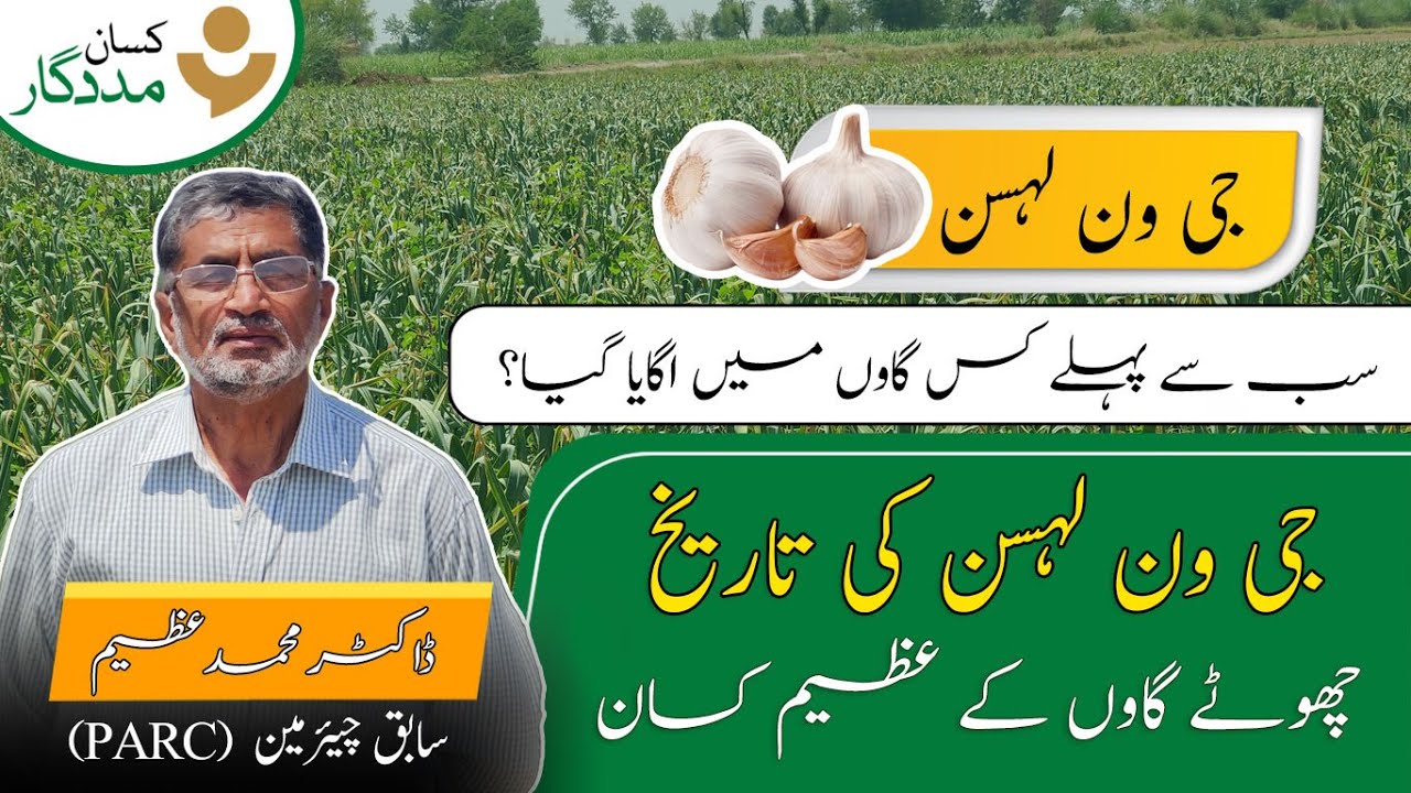 What Is The History Of Narc HG1 Garlic? | Ex Chairman PARC - Dr. Muhammad Azeem Khan
