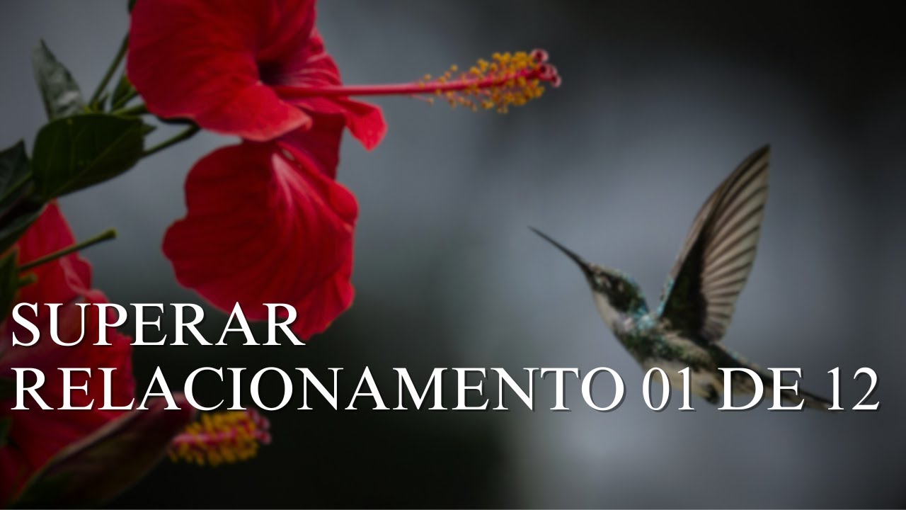 Como Superar O Fim De Um Relacionamento 01 de 12 - Tsoah