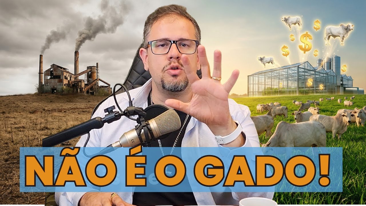 5 Sinais que sua PASTAGEM precisa ser adubada AGORA