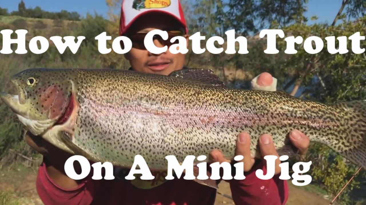 How to Catch Rainbow Trout Using a Mini Jig From Shore