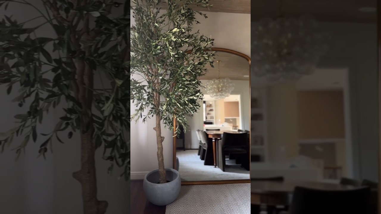 Amazon Home Decor Haul | Artificial Tree | Olive Tree |  Artificial Olive Tree | Best Amazon Gadgets