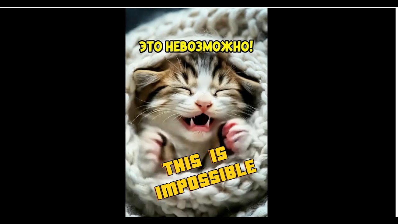 Cute kittens