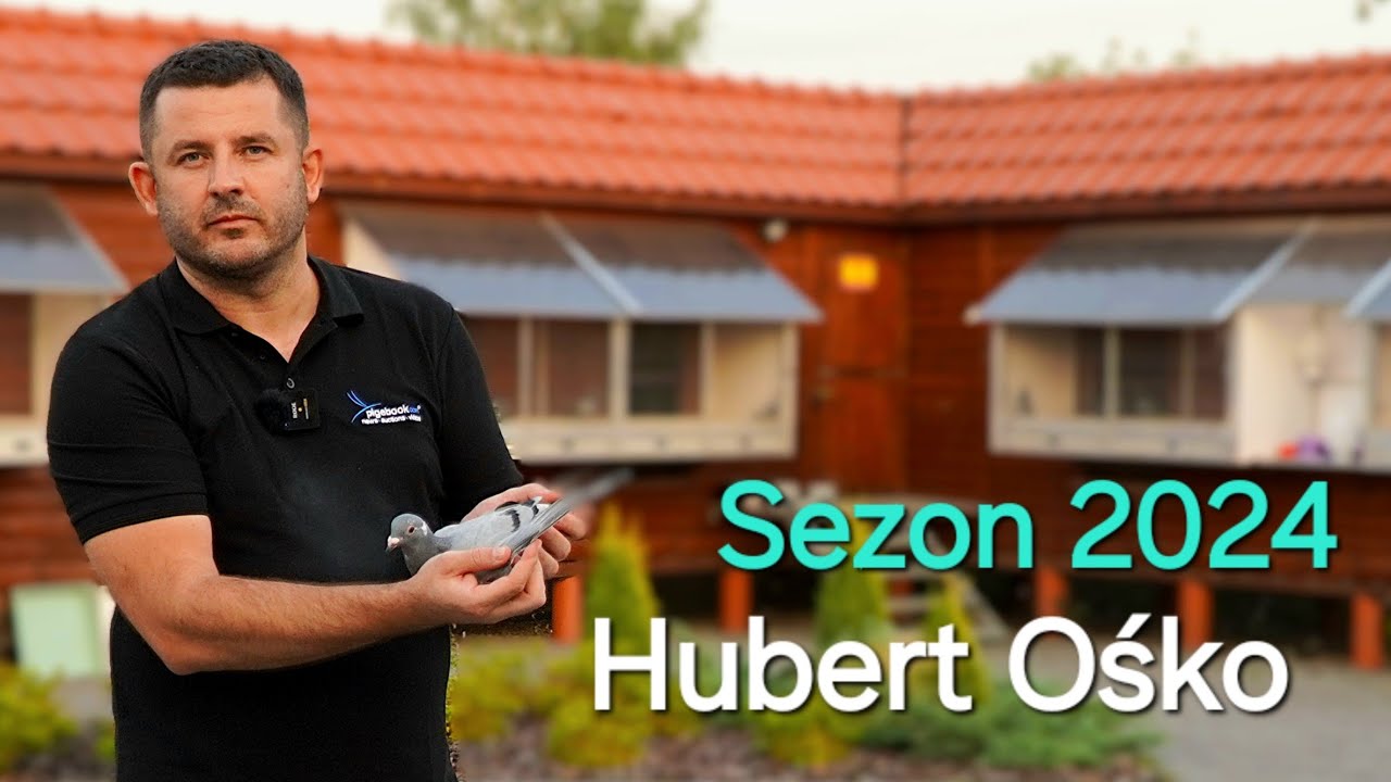 Hubert Ośko - SEZON 2024 / Nowy gołębnik rozpłodowy 👌🎉🏆