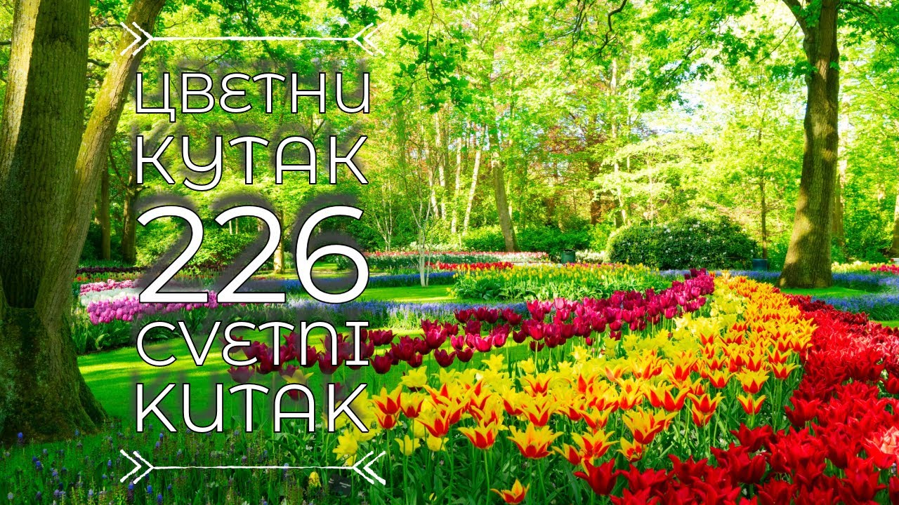 Cvetni kutak ep. 226 07.03.2024. Izložba cveća, Lipolist, Keukenhof