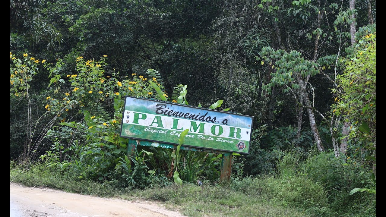 PALMOR  capital cafetera - sierra nevada