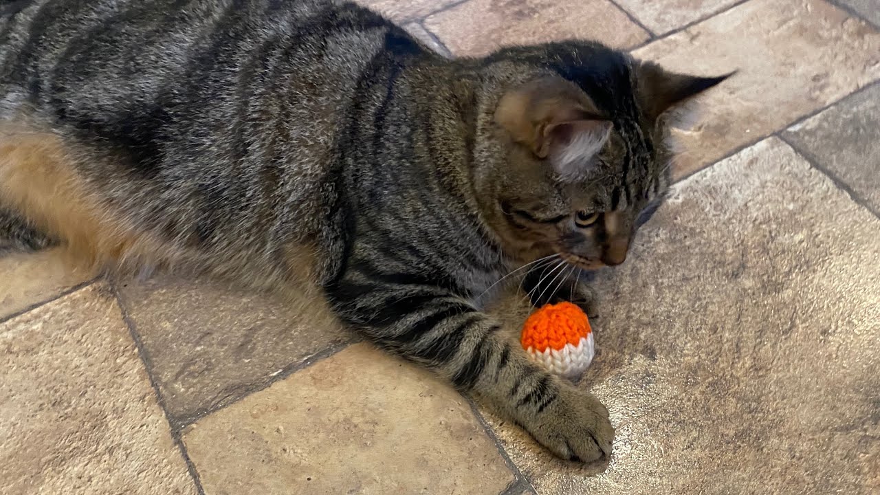 2 Colours Loom Knit Catnip Ball Cat Toy