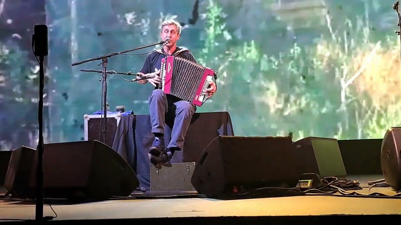 Ромашки. ИГОРЬ РАСТЕРЯЕВ. Санкт-Петербург клуб Аврора 22.11.2025 