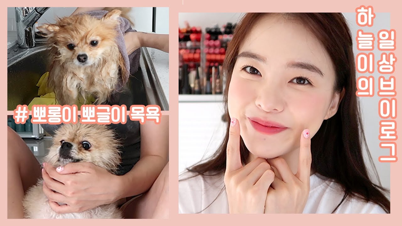 [Eng] 하늘이의 일상 vlog❤️ 강아지 목욕시키기 / 짜파게티먹방 / 출근 l 오늘의하늘 Haneul