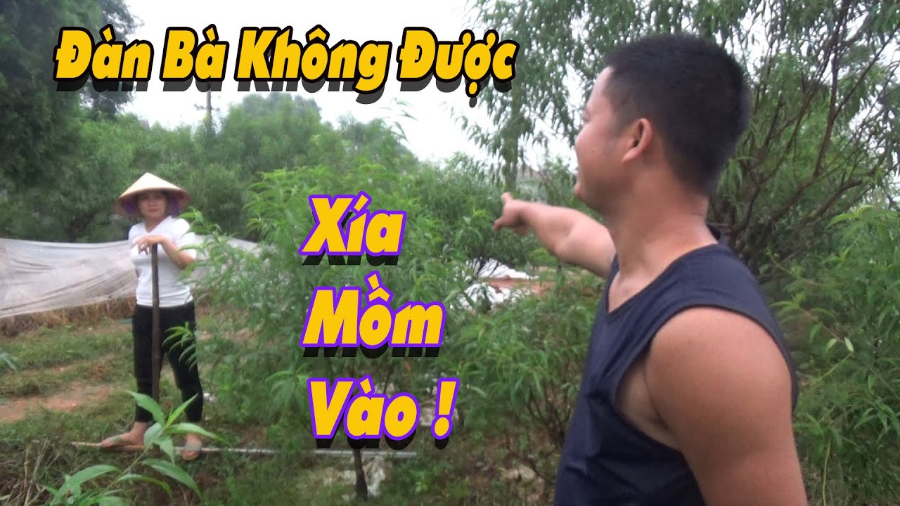 EM HUYỀN Bắt Qủa Tang B&Eacute;O Đang ...Lừa Ngố Ở Vườn Đ&agrave;o V&agrave; C&aacute;i Kết ...Dở Kh&oacute;c Dở Cười - Miền Trung TV