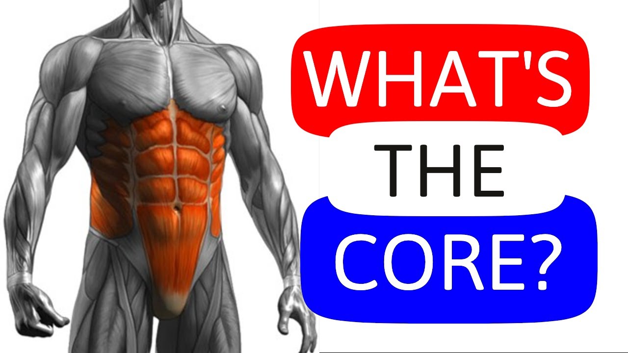 What Are The Core Muscles and Why To Train Them? [Part 1]