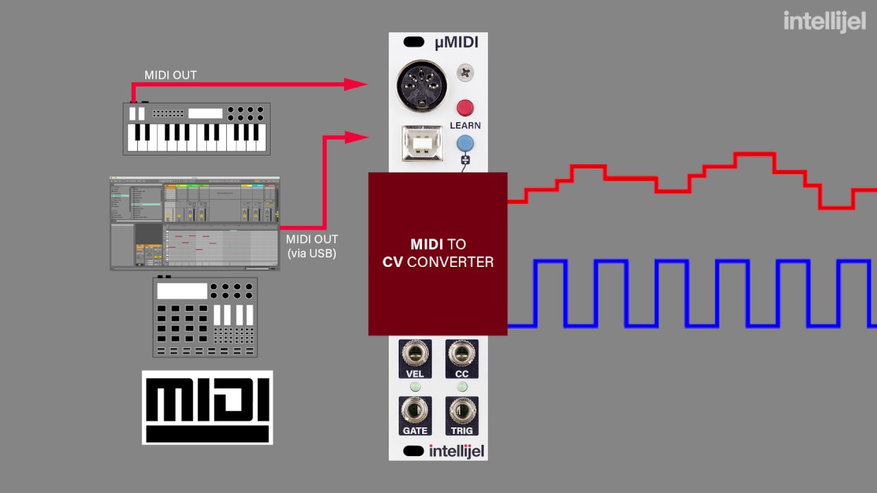 Intellijel µMIDI Tutorial 1 - MIDI to CV