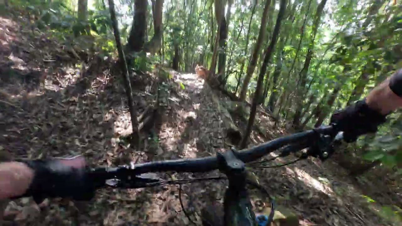 Brokebuck Mountain Bike Trail Wollongong 