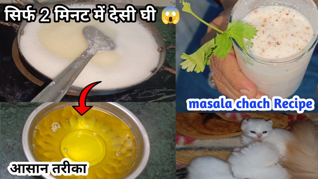 सिर्फ 2 मिनट में मलाई से देसी घी | Masala Chaach Recipe | 7 Days Daily Vlogging