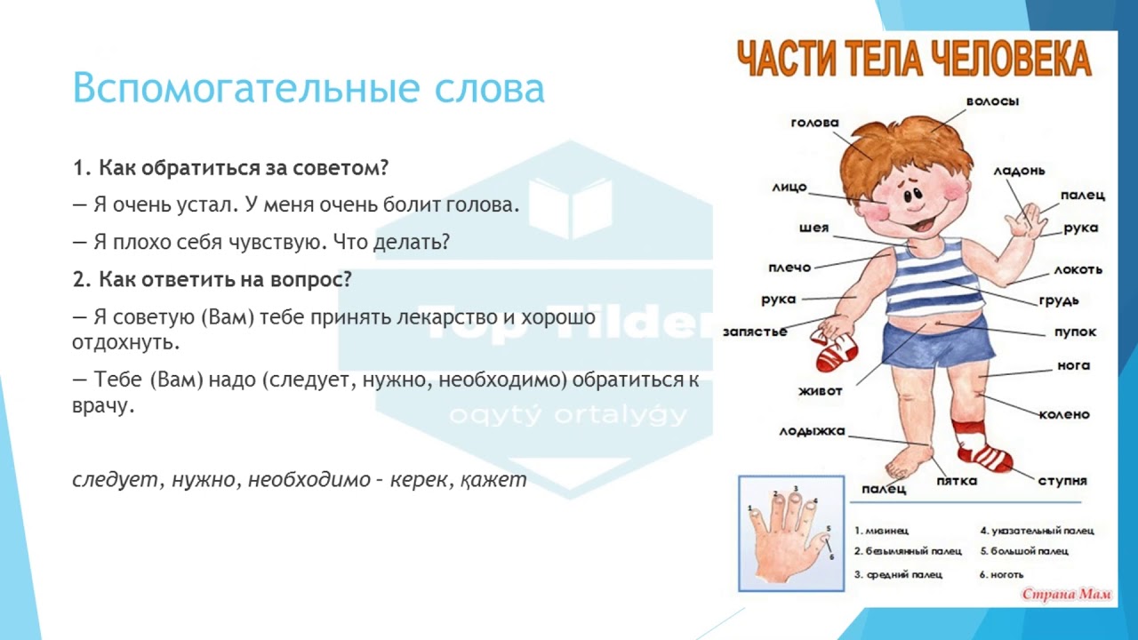 Урок 30 Части тела  В больнице