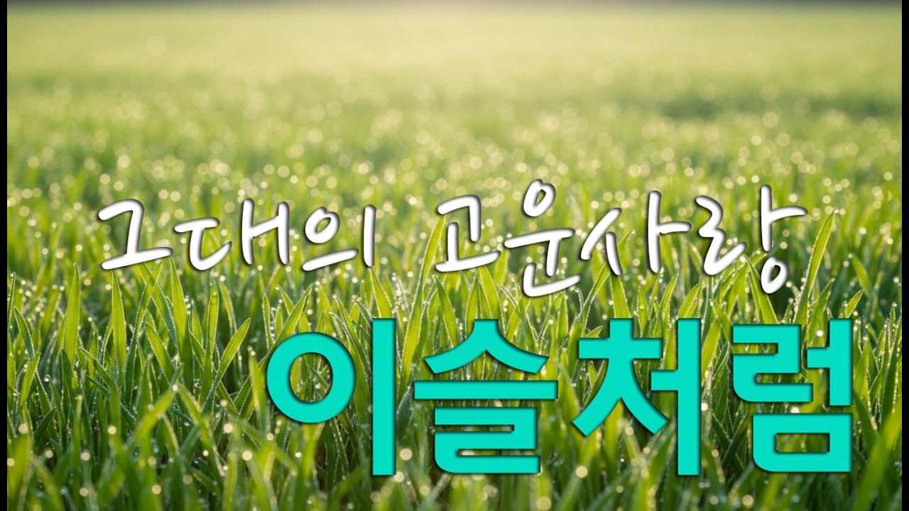 이슬처럼 | 통기타로 만든 슬픈 원곡