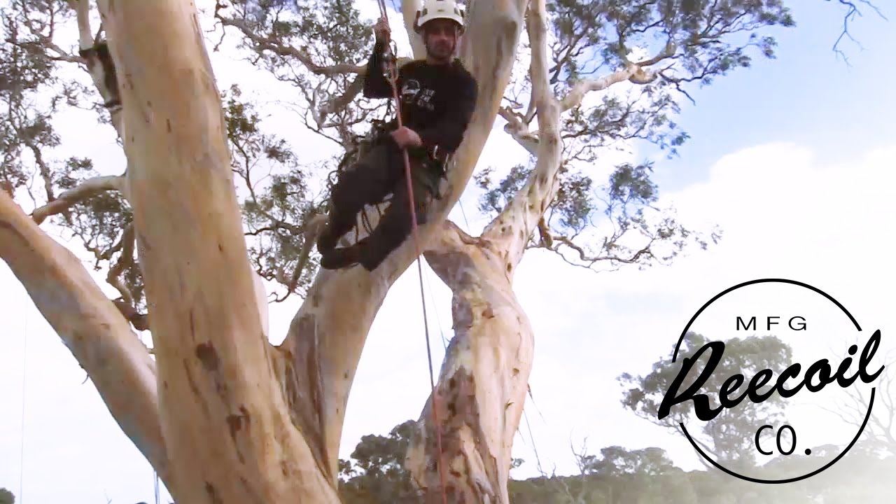 Tree Climbing with the Reecoil Full Reach chainsaw lanyard
