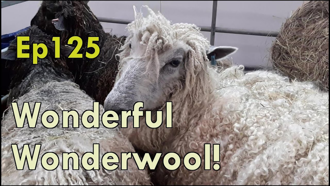 Эпизод 125: Чудесная пряжа Wonderwool Wales! | #wonderwoolwales | вязание | крючком