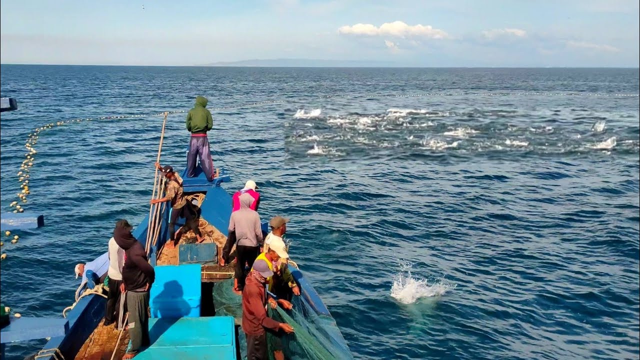 Pukat cincin, Nelayan Indonesia Dapat Banyak Ikan, luar biasa hasil tangkapan nelayan Indonesia