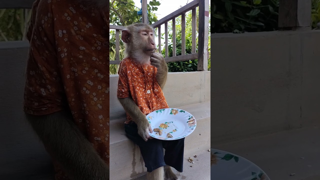 Good Job ! SokYaa Smart Eating Rice In The Morning Alone #shorts