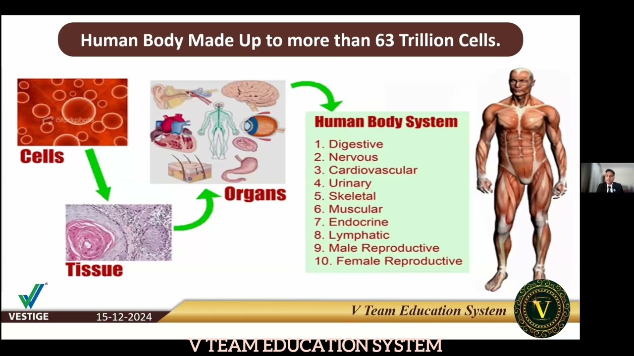 VESTIGE CNT (ONLY PRODUCT BASE)