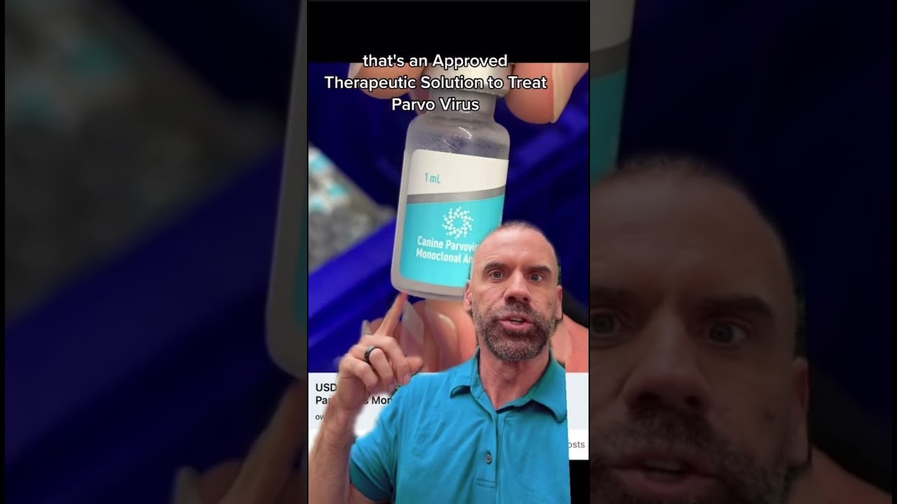 Срочные новости о лечении парвовируса у собак! Обязательно сделайте прививку!