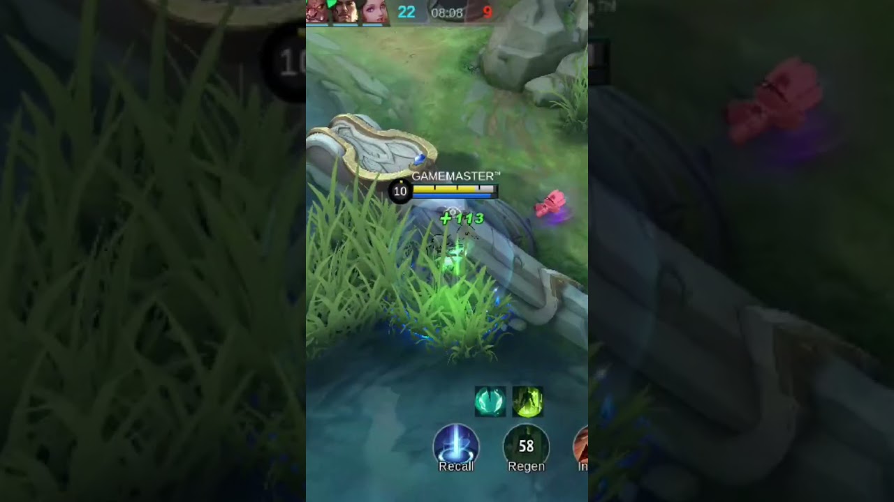 Melissa mage build