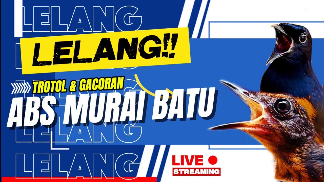Gass lelang awal bulan februari bossskku🥳🥳🥳