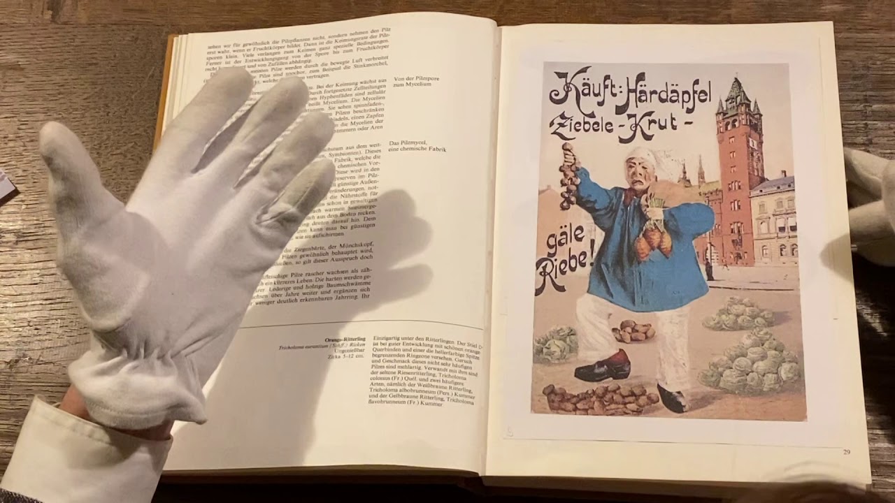 D' Gschicht vo de Waggis und Waageclique an dr Basler Fasnacht
