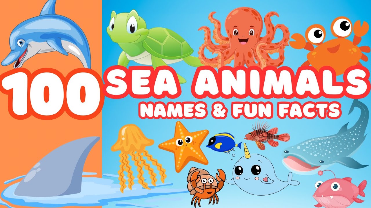 Learn 100 SEA ANIMAL Names & Fun Facts | Educational Video for Kids & Toddlers