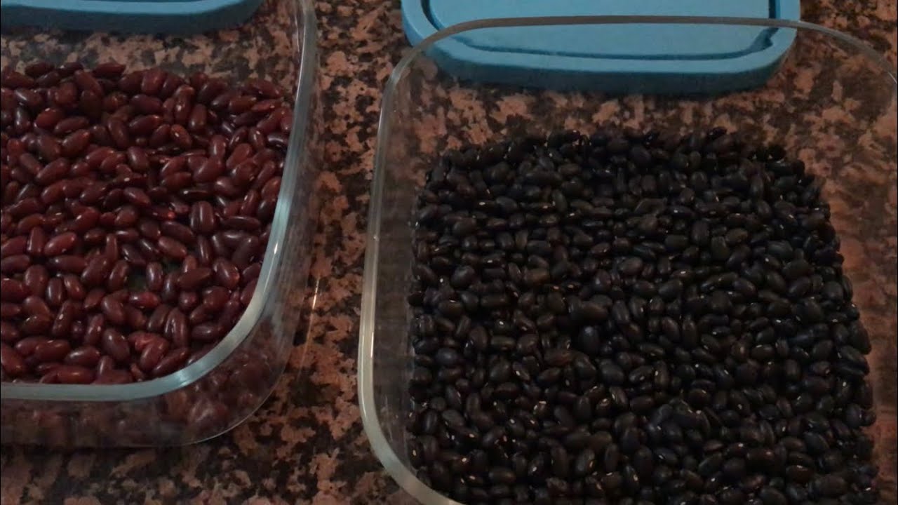 تصبير اللوبيا الحمراء والسوداء والبيضاء
