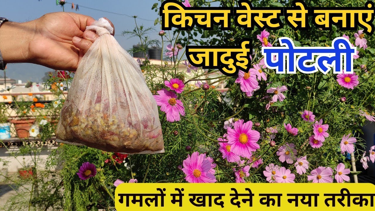 पोटली में किचन वेस्ट से खाद बनाने की आसान विधि || गमलों में खाद देने का नया तरीका #organicgardening