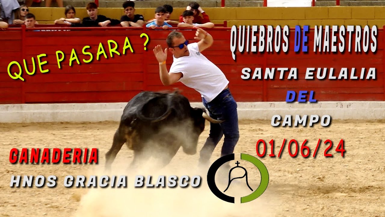 📽️4K-SANTA EULALIA DEL CAMPO´24