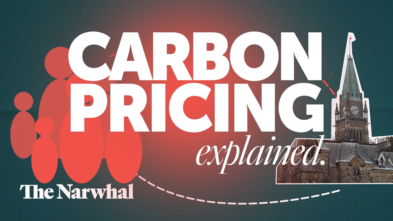 The rise and fall of the carbon tax, explained