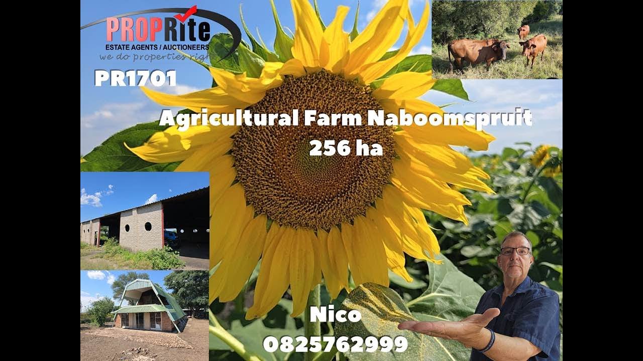Withdrawn   PR1701 Agricultural Farm 256 ha For sale Naboomspruit Mookgopong Limpopo.