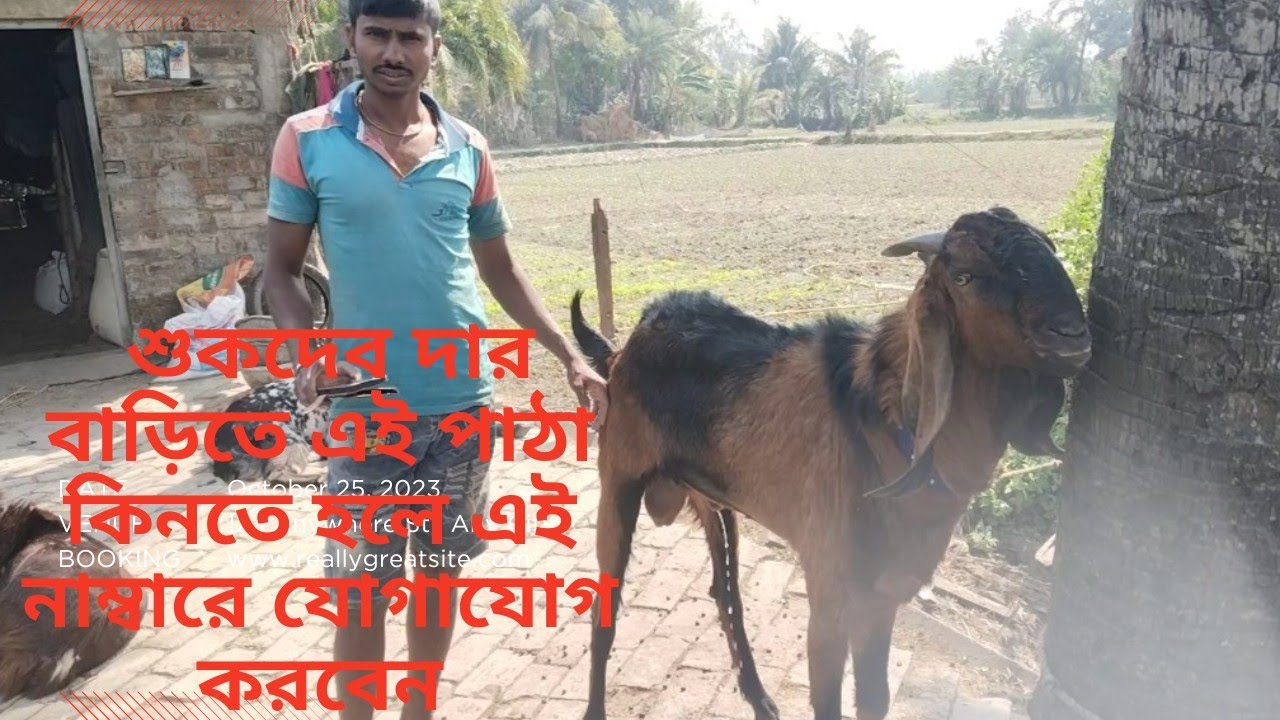 আমার আকাশ দুটি চোখে আমি হয়ে গেছি তারা#bird 