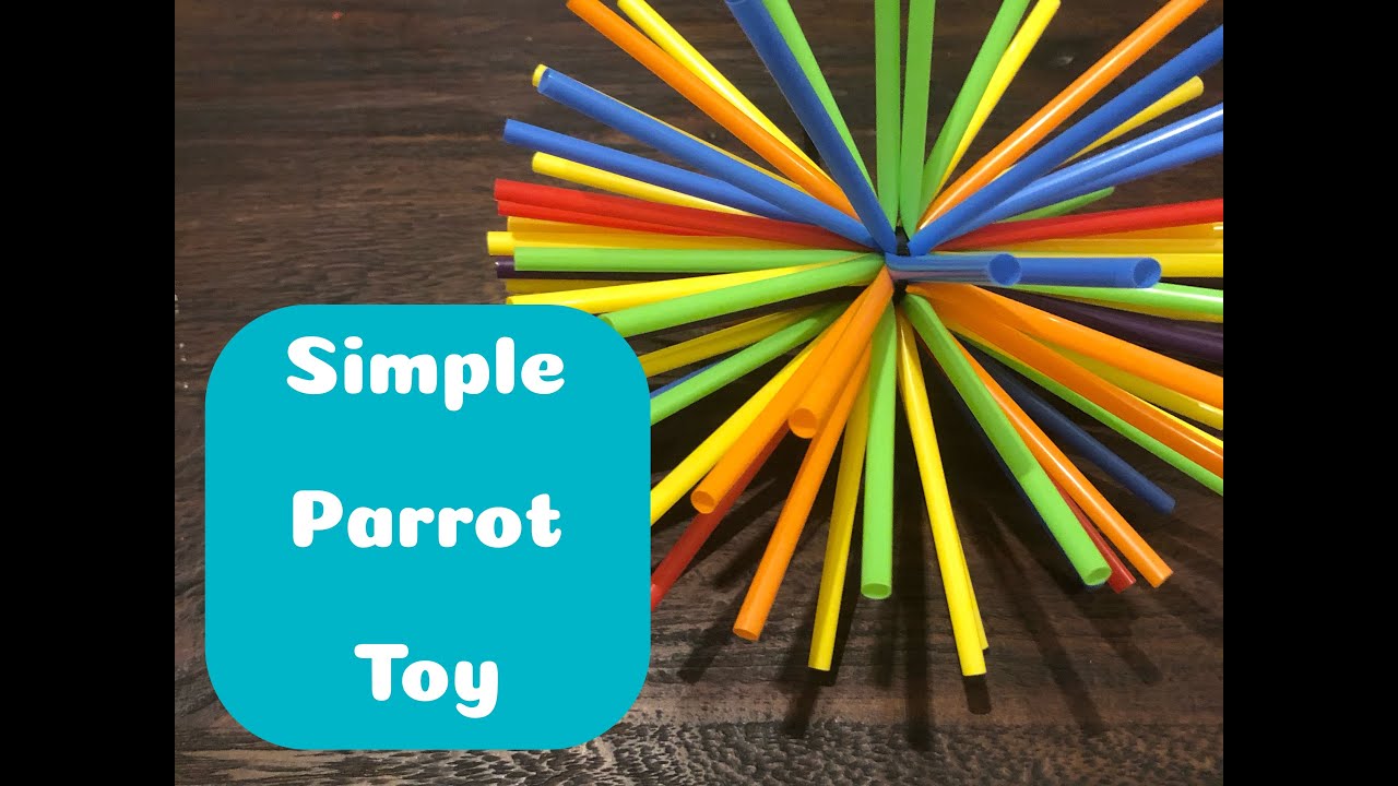Straw Parrot Toy - DIY Bird Toy