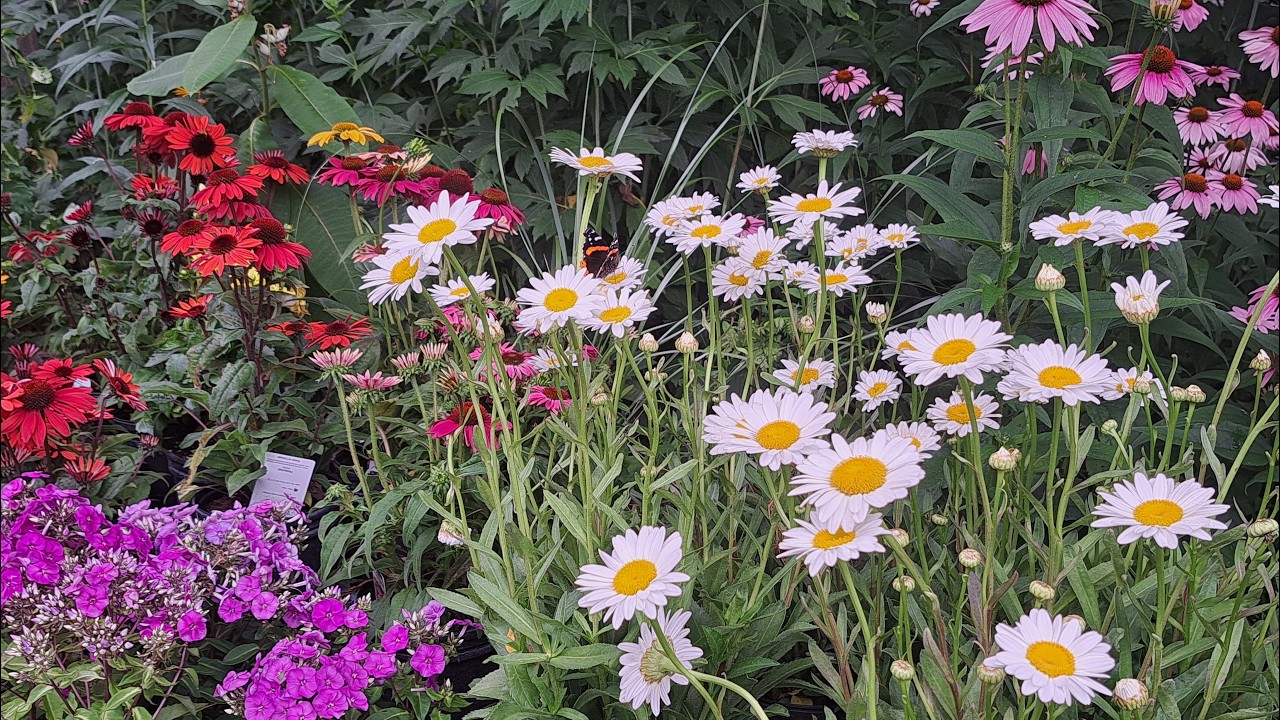 Watching My Garden Wake Up: Spring to Summer