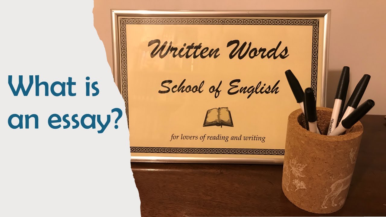 What is an essay?