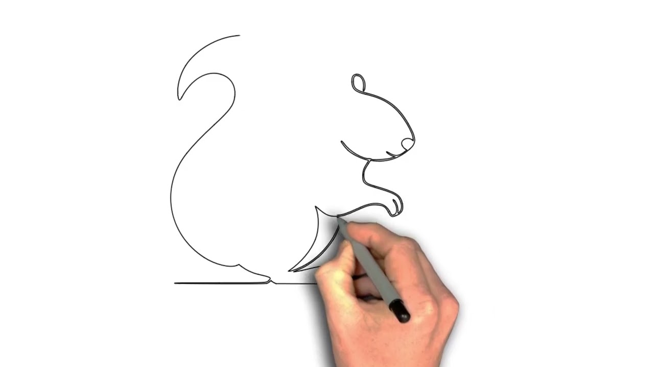 easy to draw Squirrel image Whimsy: A Sketch of Curiosity and Grace