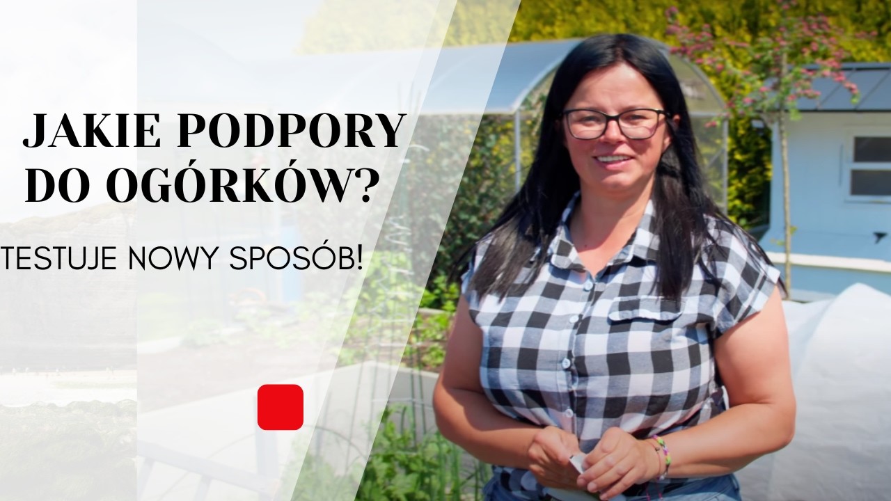 JAKIE PODPORY DO OGÓRKÓW? TESTUJE NOWY SPOSÓB! | Kasia in