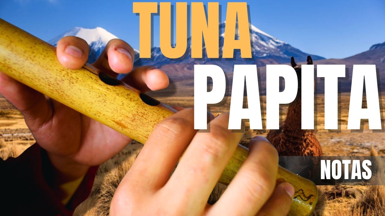 Tinkus Los Kjarkas Tuna Papita Con NOTAS! Tutorial de Quena