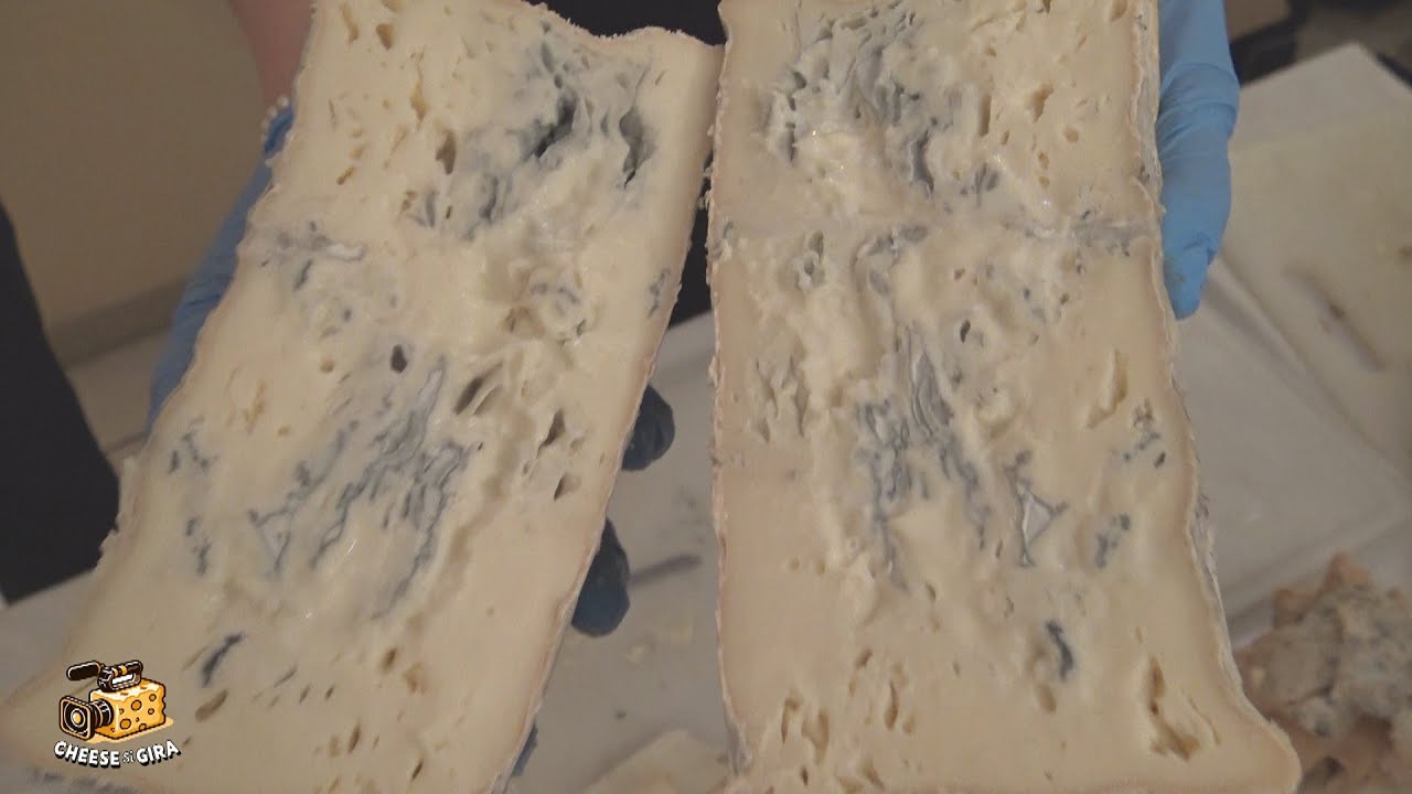 Intervista a Sandro Gallina Presidente dell'Associazione Produttori di Formaggio Blu di Cuneo