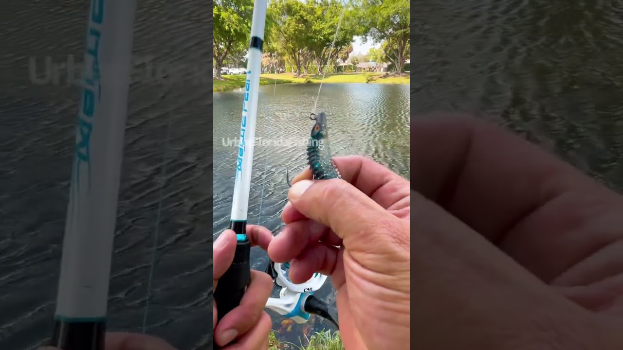 How to sling shot cast. #fishingvideos #urbanfloridafishing #southfloridafishing #cooledit #fishing