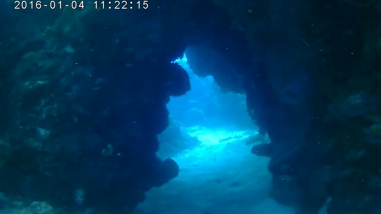 DLutz Cozumel 2024 Dive Swim through-02