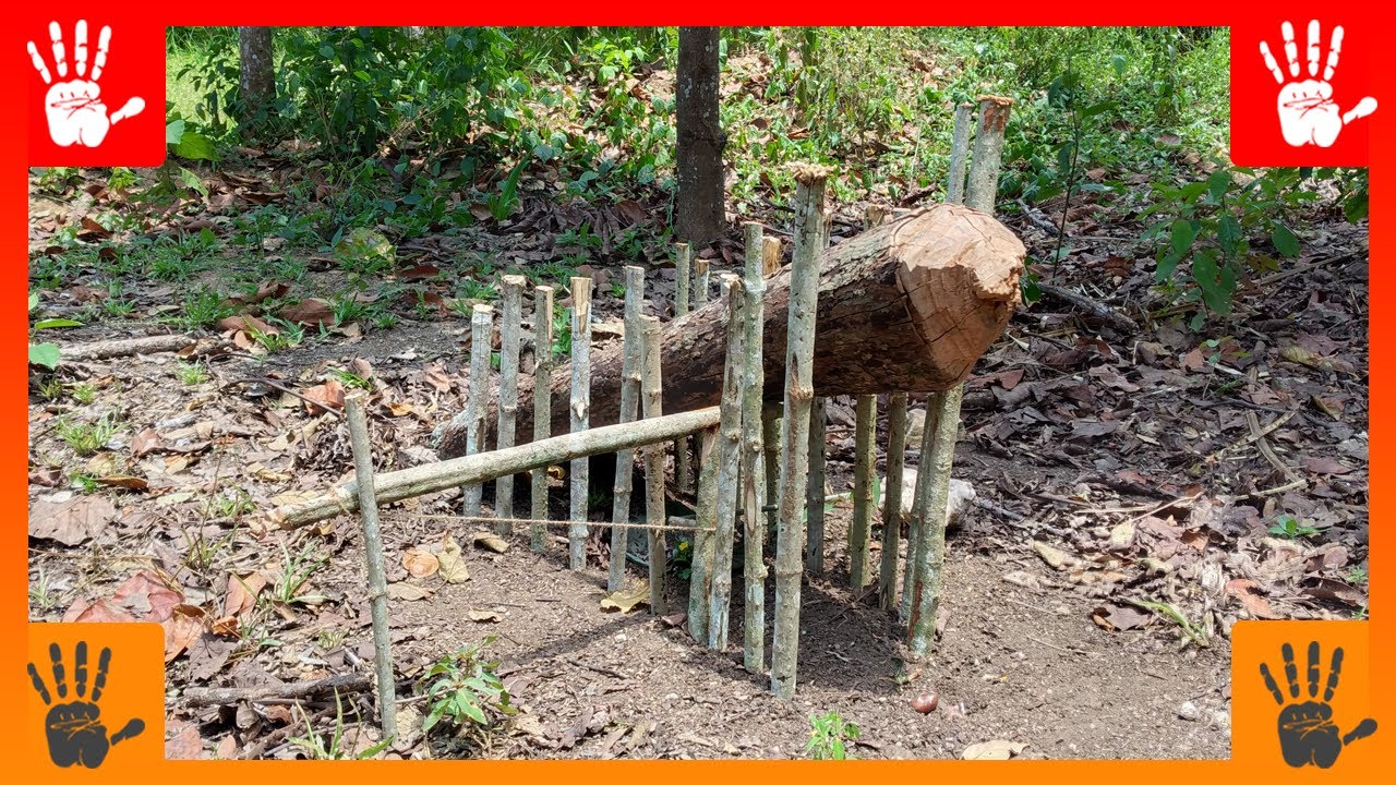 Ловушка пайютов для грызунов средних размеров (кроликов и т.п.)